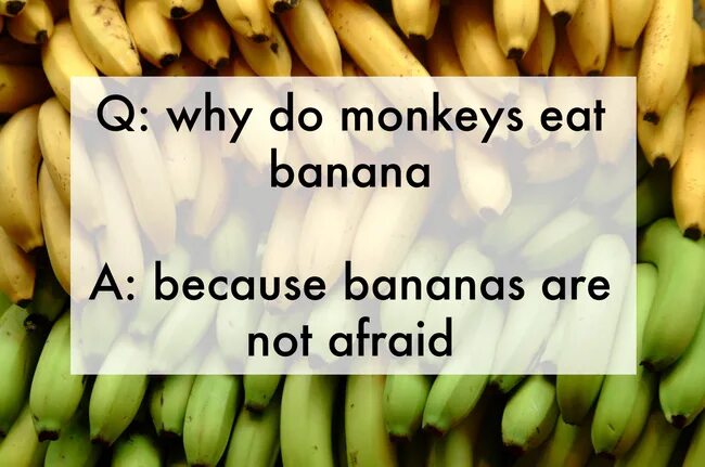 Bananas are down перевод с английского. Jokes for kids in english. do monkeys eat bananas?. monkey bananas одежда. does the chimp like bananas ответ.