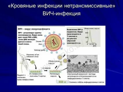 К кровяным инфекциям относится