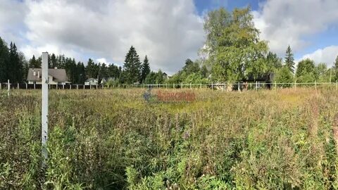 Погода в крутая гора приозерский