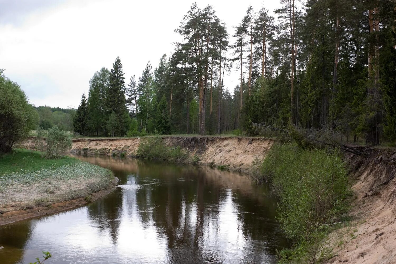 Река узола. Река узола нижегородская область. Озеро узола нижегородская область. Городец речка узола. Долина реки узола.