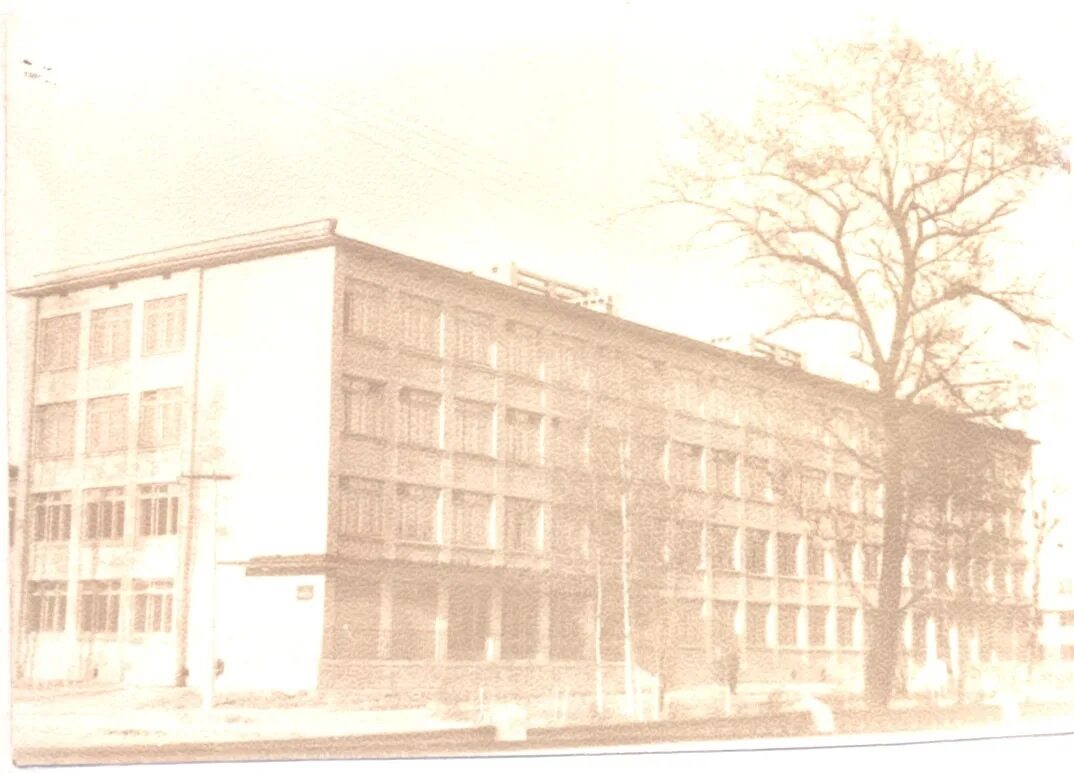Лицей в калининском районе. Лицей в калининском районе