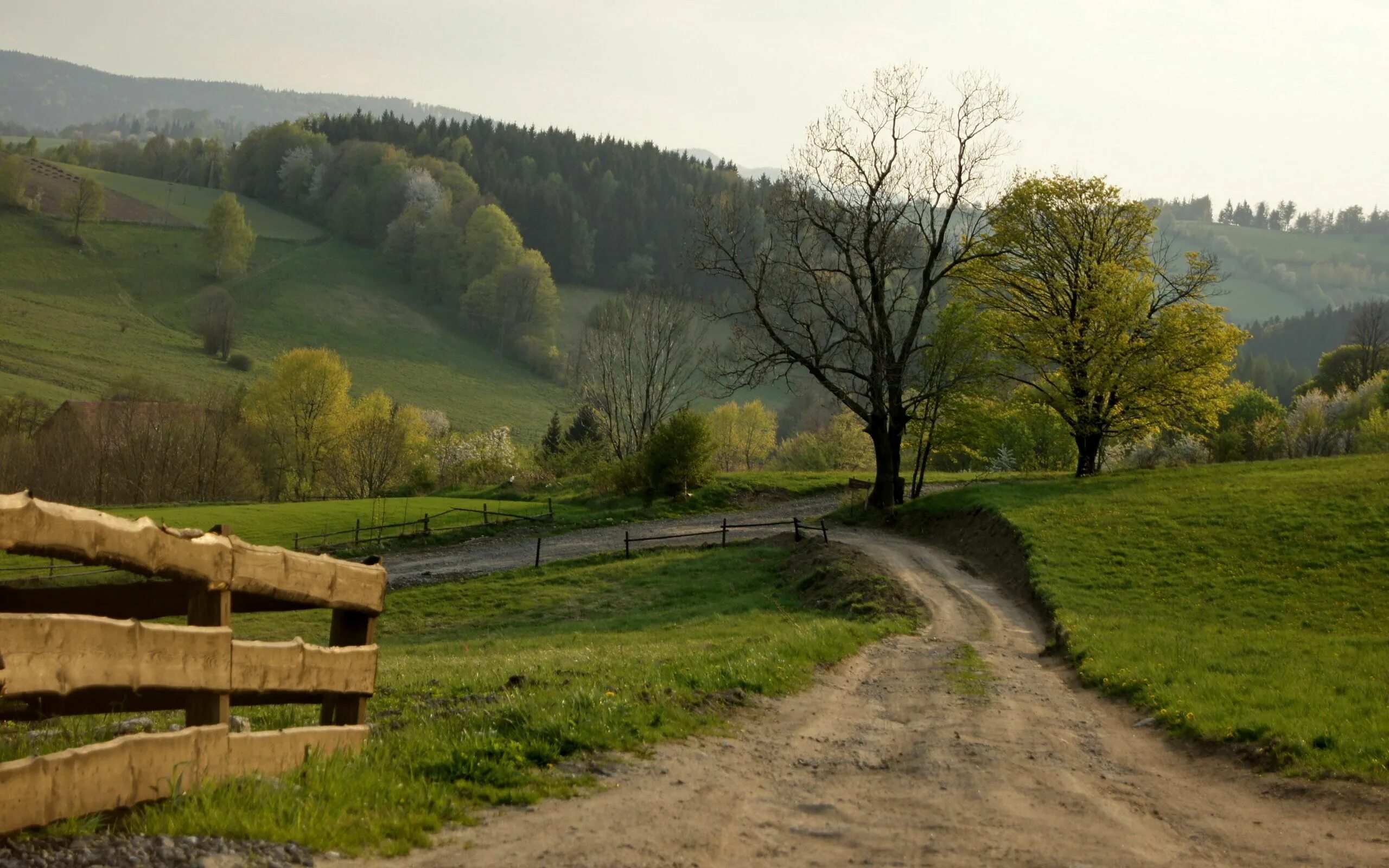 Decided to the countryside. Шварцвальд тропа. Деревня природа Проселочная дорога. Дороги холмы Молдова. Молдова природа холмы.