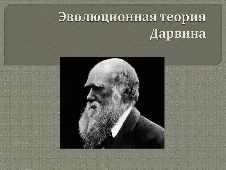 Дарвину принадлежит учение о. Дарвину принадлежит учение о