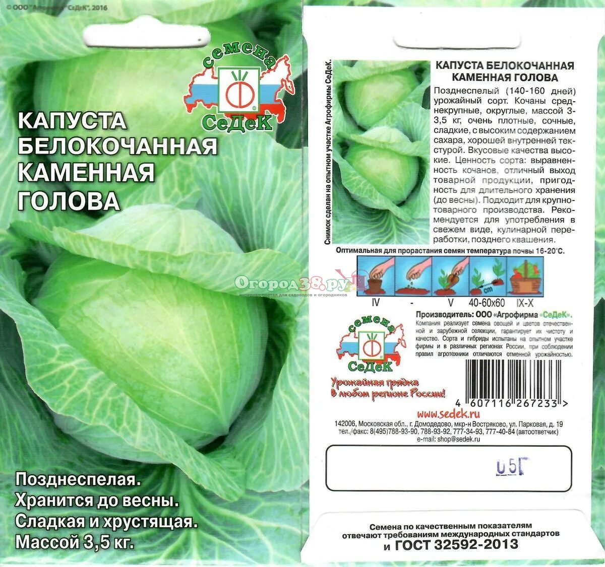 Семена Капусты Поздняя Каменная Голова Купить