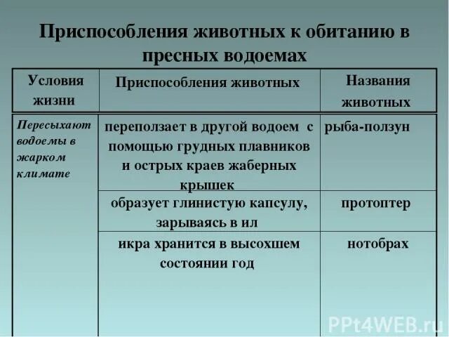 Приспособление животных к условиям обитания. Приспособленности животных к среде обитания в водоёмах. Приспособление животных к условиям среды. Адаптации растений и животных к условиям среды.