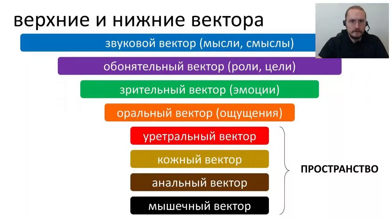 Векторная психология это. Системно-Векторная психология. Системно-Векторная психология типы векторов. Векторная психология. Системно Векторная психология вектора.