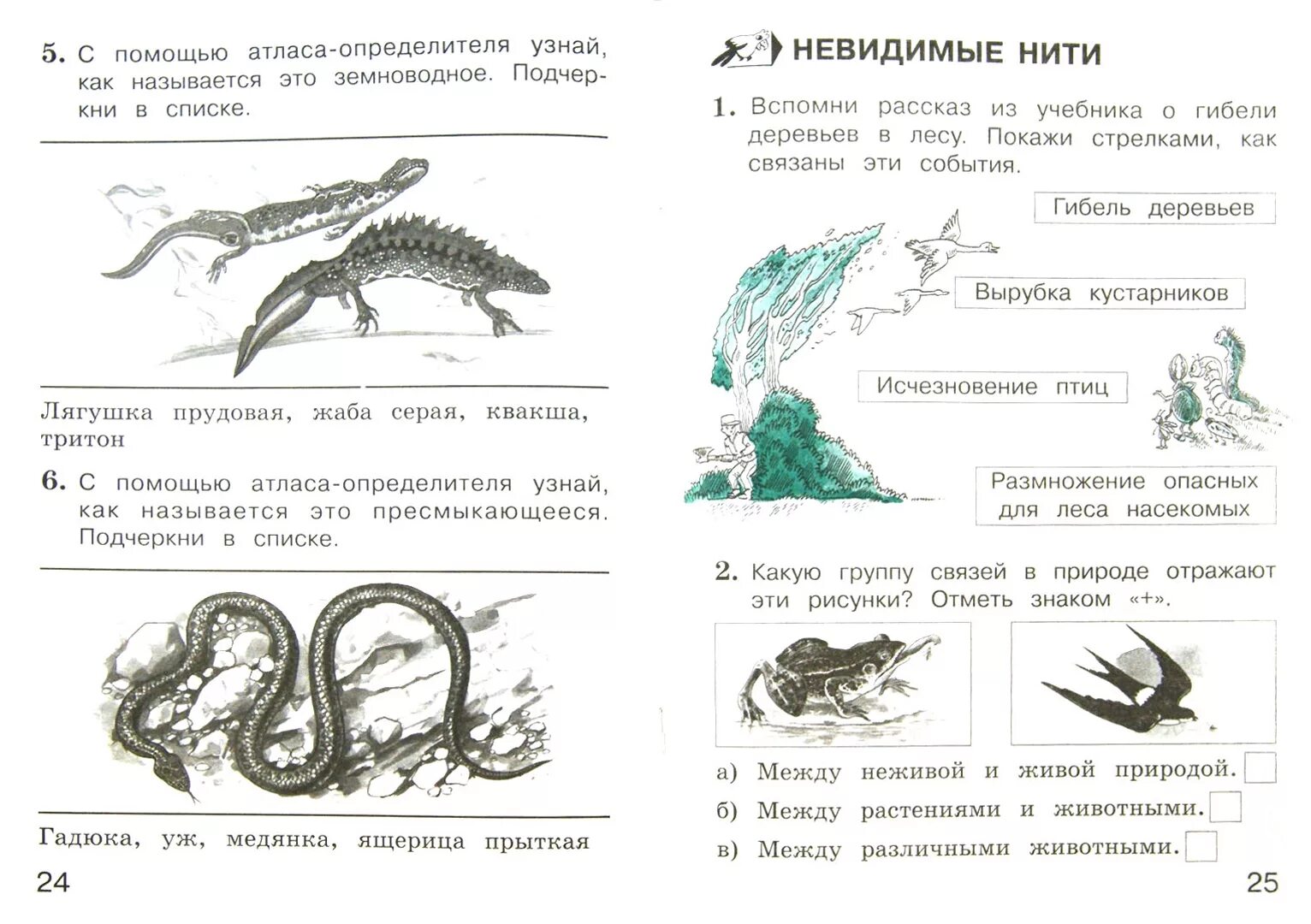 Тест по земноводным 8. Задания по окружающему миру. Тетрадь для тренировки и самопроверки. Окружающий мир 2 класс задания. Пресмыкающиеся 2 класс окружающий мир задания.