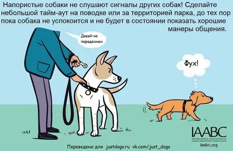 A girl has the smallest dog перевести