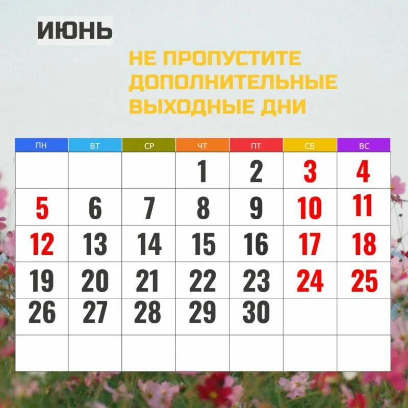 6 ноября выходной или нет в 2025. 6 ноября выходной или нет в 2025