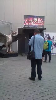 Симург набережная ул 33 отзывы
