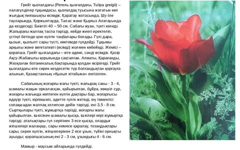 Қонақ үй бөлмелеріндегі секс