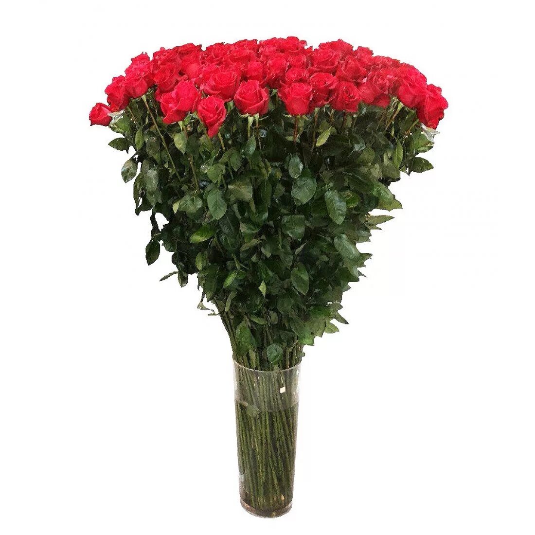 Букет из длинных роз. 51 роза красная 70 см. Букет длинных роз. Длинные цветы букет. Длинные цветы букет.