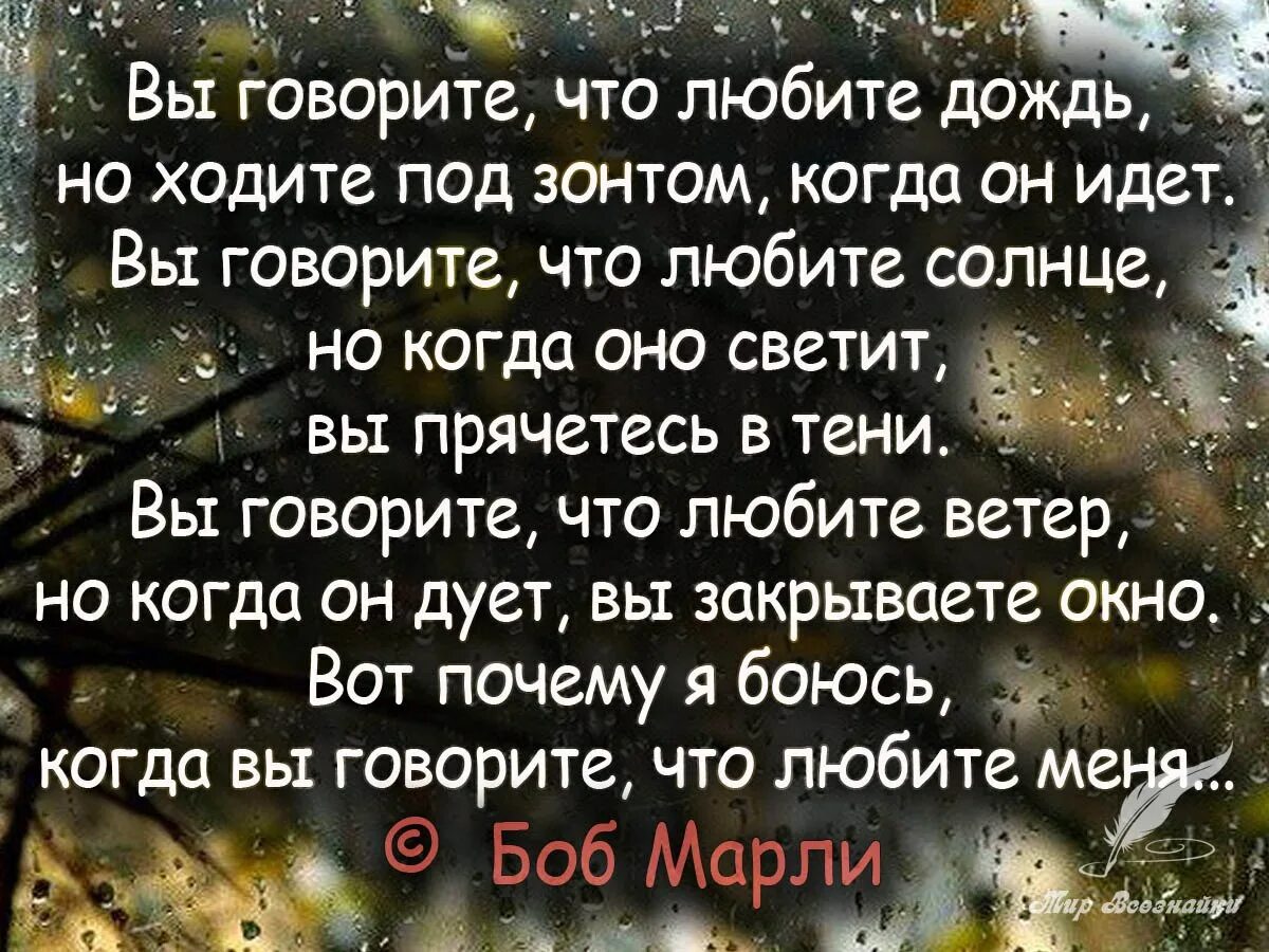 Сказала дождь идет. Афоризмы про дождь. Красивые фразы про дождь. Афоризмы и высказывания про дождь. Люблю дождь цитаты.