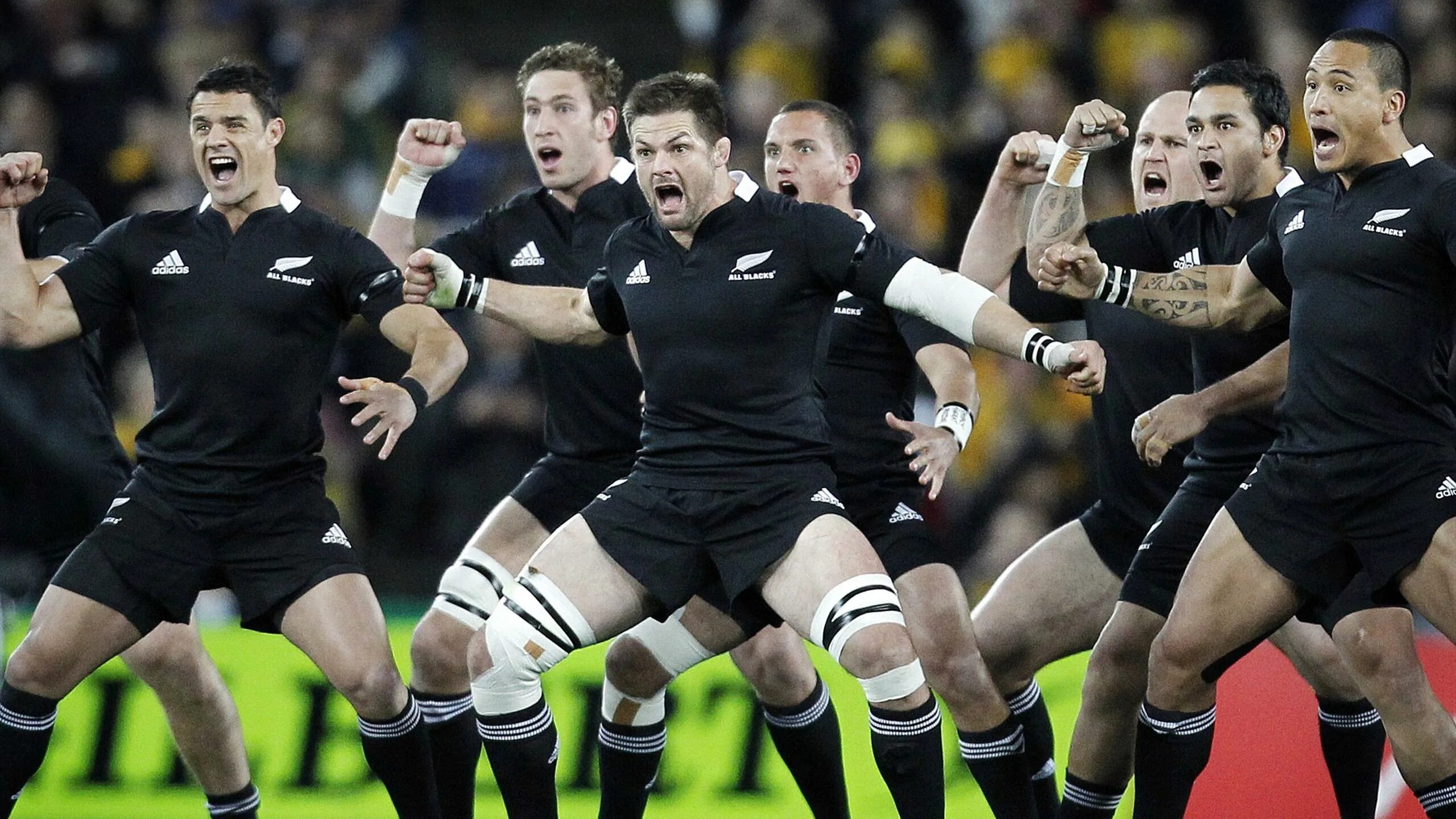 Про хака. Black Haka New Zealand Rugby. All Blacks регби. New Zeland Team Rugby. Сборная all Blacks 2013.