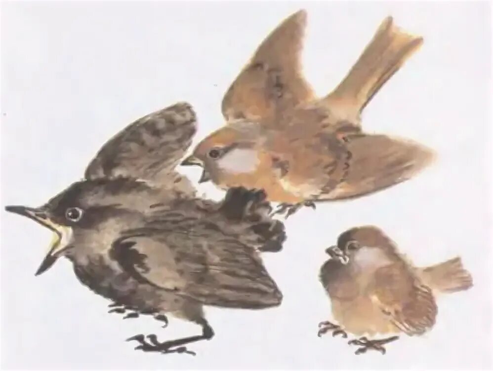 Чарушин захочешь есть говорить научишься. Захочешь есть говорить научишься чарушин презентация. Захочешь есть говорить научишься. Захочешь есть говорить научишься. Чарушин захочешь есть говорить научишься.