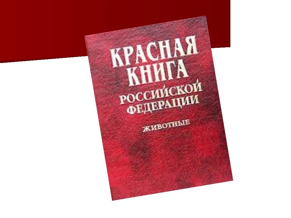 Сайт книги рф. Красная книга. Красная книга Российской Федерации. Международная красная книга. Национальная красная книга.