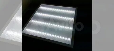 Жігіт жұлқынып, өз-өзіне қонады