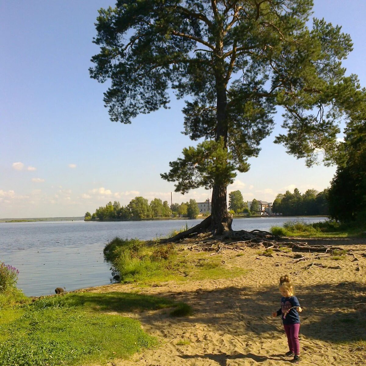 сестрорецк ленинградская область отдых. сестрорецк ленинградская область отдых. сестрорецк ул николая соколова д 31. сестрорецк пляж сестрорецкий курорт. сестрорецк финский залив.