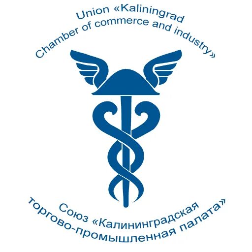 Союз калининградская торгово промышленная палата калининградской. Калининградская торгово-промышленная палата. Торгово промышленная палата калининград. Калининградская торгово промышленная. Торговая палата калининград.