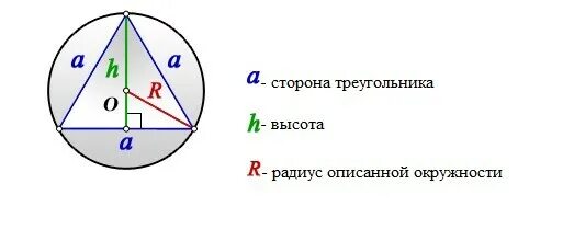 Формула описанной окружности равностороннего треугольника. Формула радиуса описанной окружности равностороннего треугольника. Равносторонний треугольник вписанный в окружность формулы. Радиус окружности описанной около равностороннего.