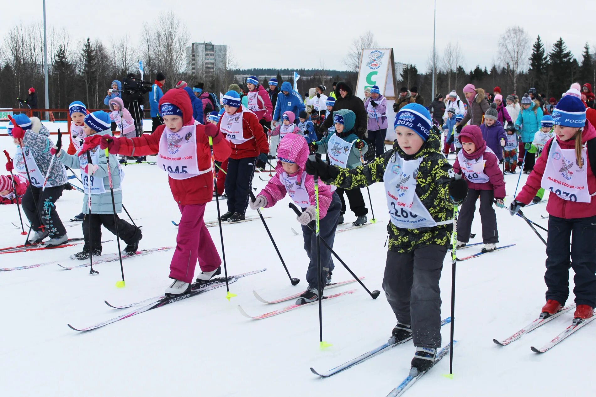 лыжня россии. зимнее утро лыжня. лыжня мороз и солнце. лыжные гонки. лыжня россии 2020.