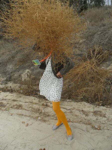 Перекати-поле растение. Перекати-поле растение. Перекати поле - земная икра. Tumbleweed. Перекати одежда.