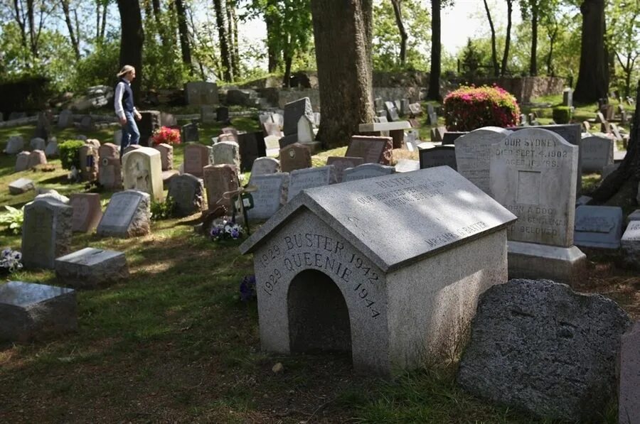 Pet cemetery. Кладбища для животных в Великобритании. Собачьи кладбища в Британии.