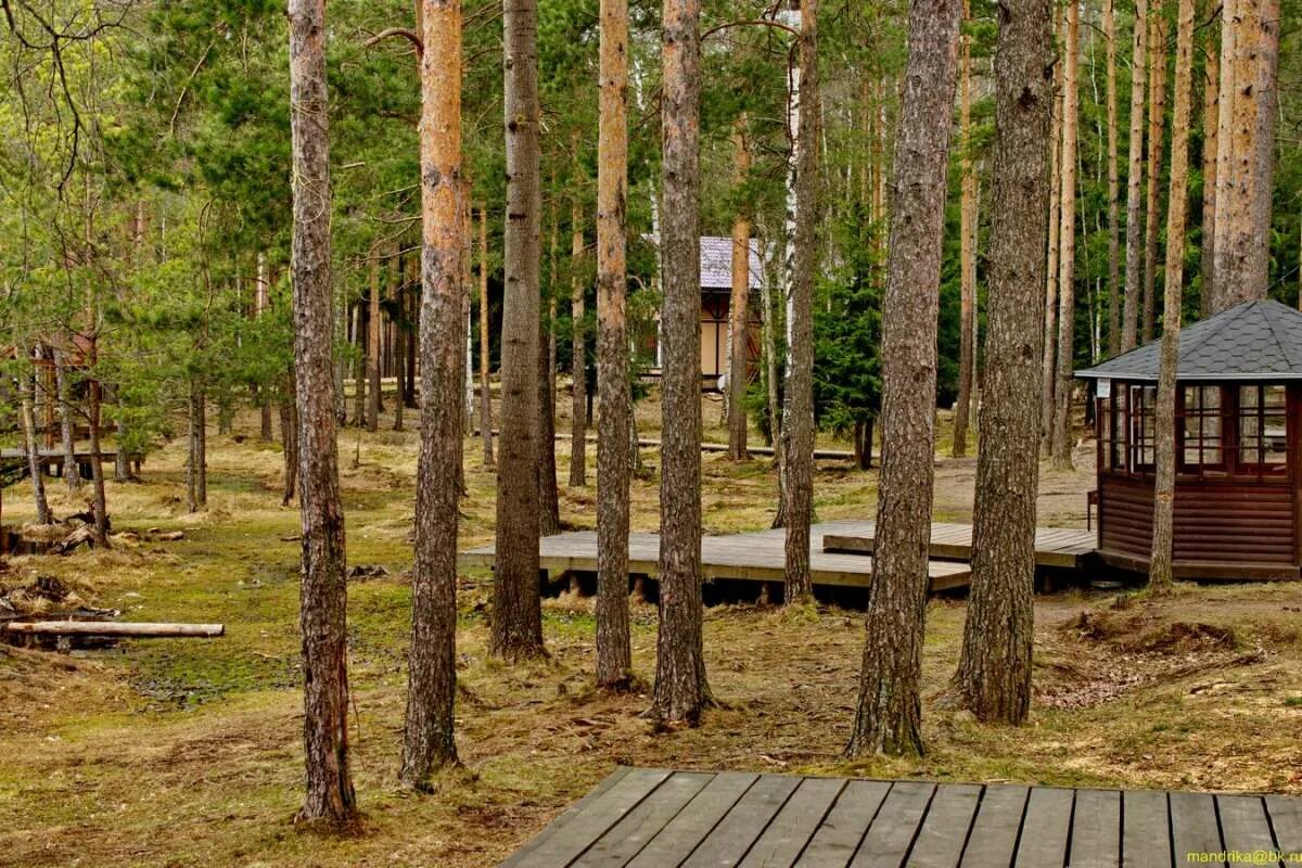 коркинское озеро, деревня коркино. коркино всеволожский р н. коркинское спб коттеджный поселок. коттеджный поселок коркино ленинградской области-. коркино коттеджный посёлок коркино.
