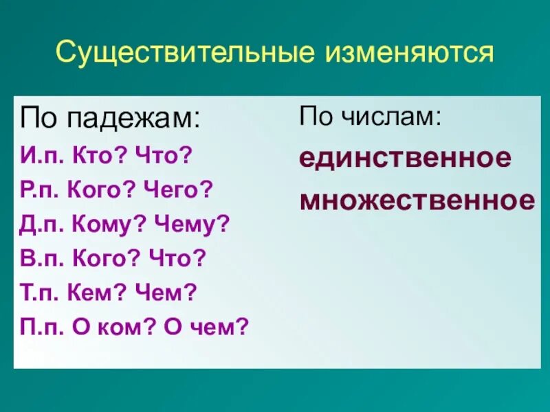 Как изменяются имена существительные. Как изменяются существительные. Имена сущ изменяются по. Что такое существительное?. Имени существительного.