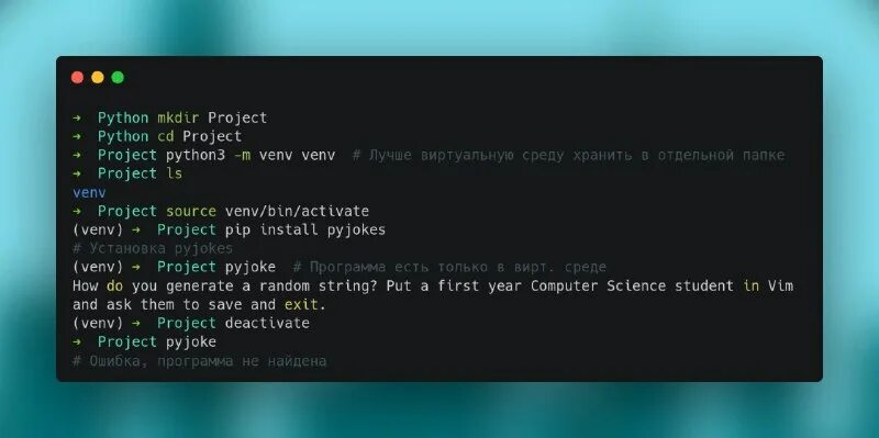 Venv bin python. Venv bin python