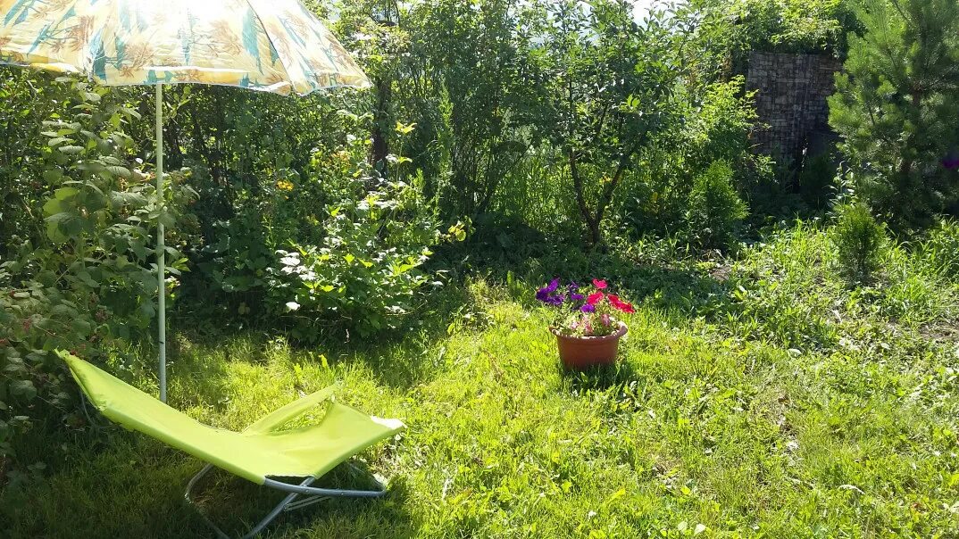 СНТ сады Сатурна Краснодар. Продается сад Монзино участок сдвоенный. Фото СНТ ремонтник Конаково. Участковый садовый