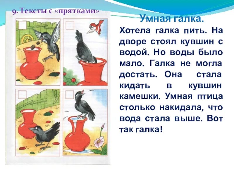 Галка пьет воду. Хотела Галка пить на дворе стоял кувшин с водой. Рассказ Галка и кувшин. Ворона и кувшин. Иллюстрации хотела Галка пить.