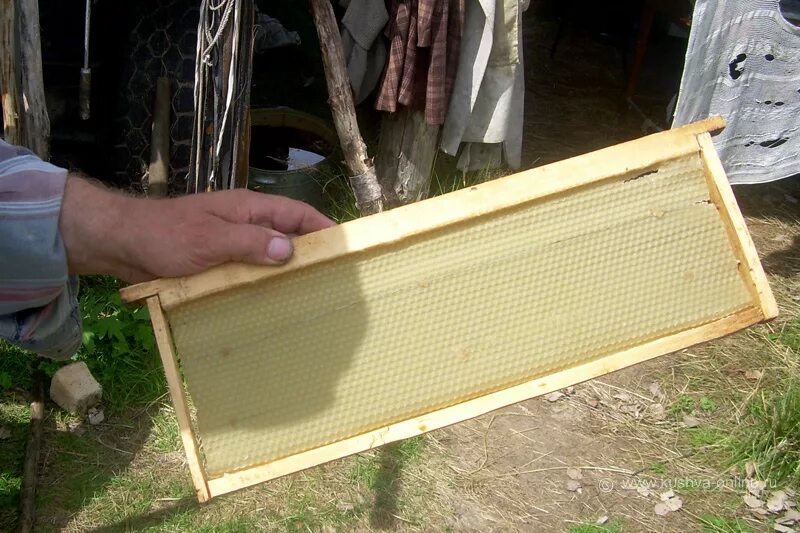 Купить пчелиные рамки. Рамки вощина Дадан 145. Медовая вощина. Рамки с сушью (на 145) для пчёл. Медовые рамки улья Дадан.
