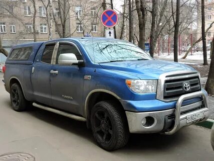 Тундра москва