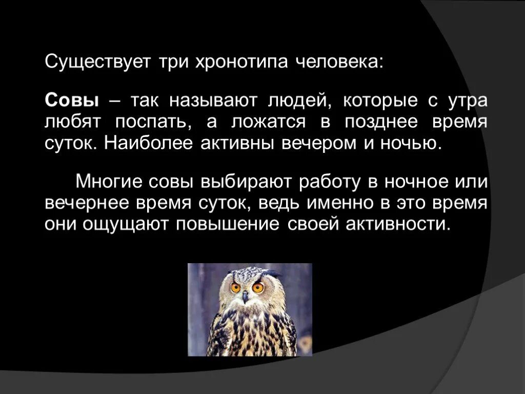 Человек сова как называется. Хронотип сова. люди совы характеристика. хронотипы человека. три хронотипа.
