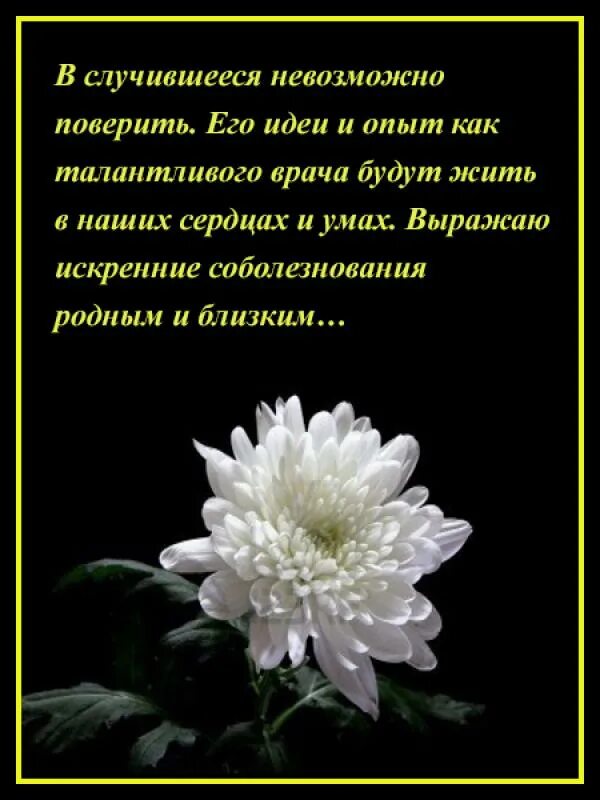 Слова соболезнования по поводу. Соболезнования по случаю смерти. Соболезнования по случаю смерти родственника родным. Искренние соболезнования своими словами. Слова соболезнования родным.