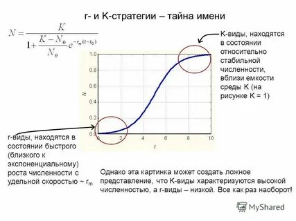 Состояние относительной глобальности