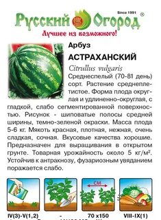 Арбуз астраханский описание сорта