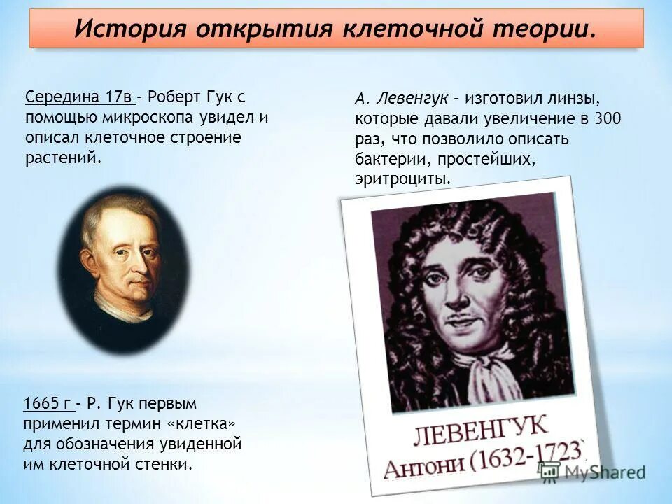 Первое употребление термина клетка гуком. Гук 1665. Гук (1665 г) - ?. Роберт гук вклад в гистологию. Первое употребление термина клетка гуком.