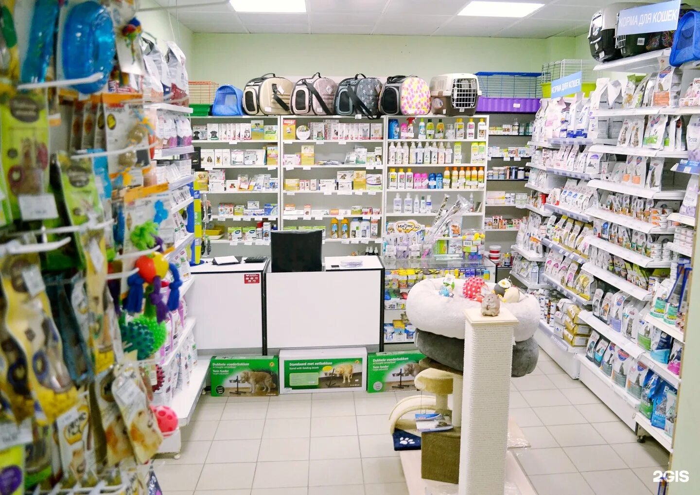 зоомагазины с животными в москве. интерьер магазина для животных. товары для животных москва. юнизоо интернет магазин товаров для животных москва. аксессуары для животных.