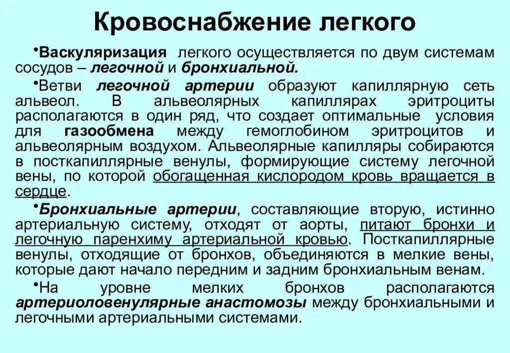 Кровоснабжение легких. Кровоснабжение легких осуществляется. Кровообращение легких схема. Особенности кровообращения в легких.