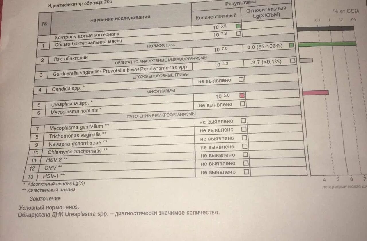 Eubacterium SPP мужской мазок. Уреаплазма SPP норма. Уреаплазма показатели нормы. Гарднерелла Фемофлор норма.