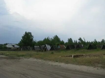 Сельский бор