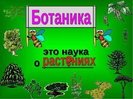 Ботаника это