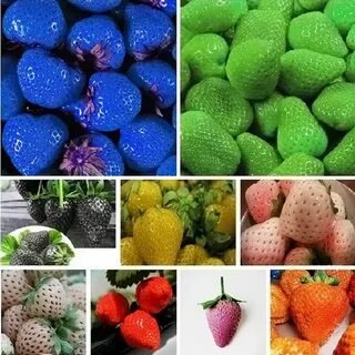 Какие сорта фруктов