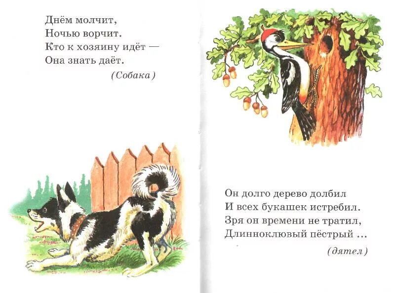 Детские загадки про собаку. Загадка про собаку. Загадки про животных собака. Загадки для детей про год собаки. Загадка про щенка.