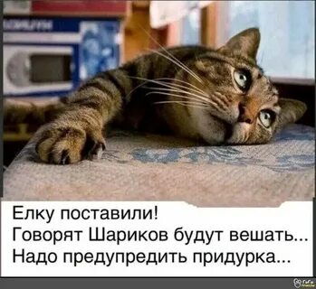 Шариков будут вешать