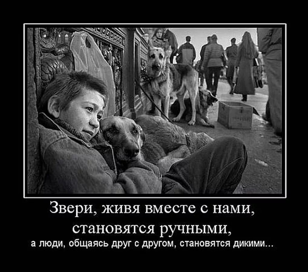 Как говорят чужим умом не проживешь