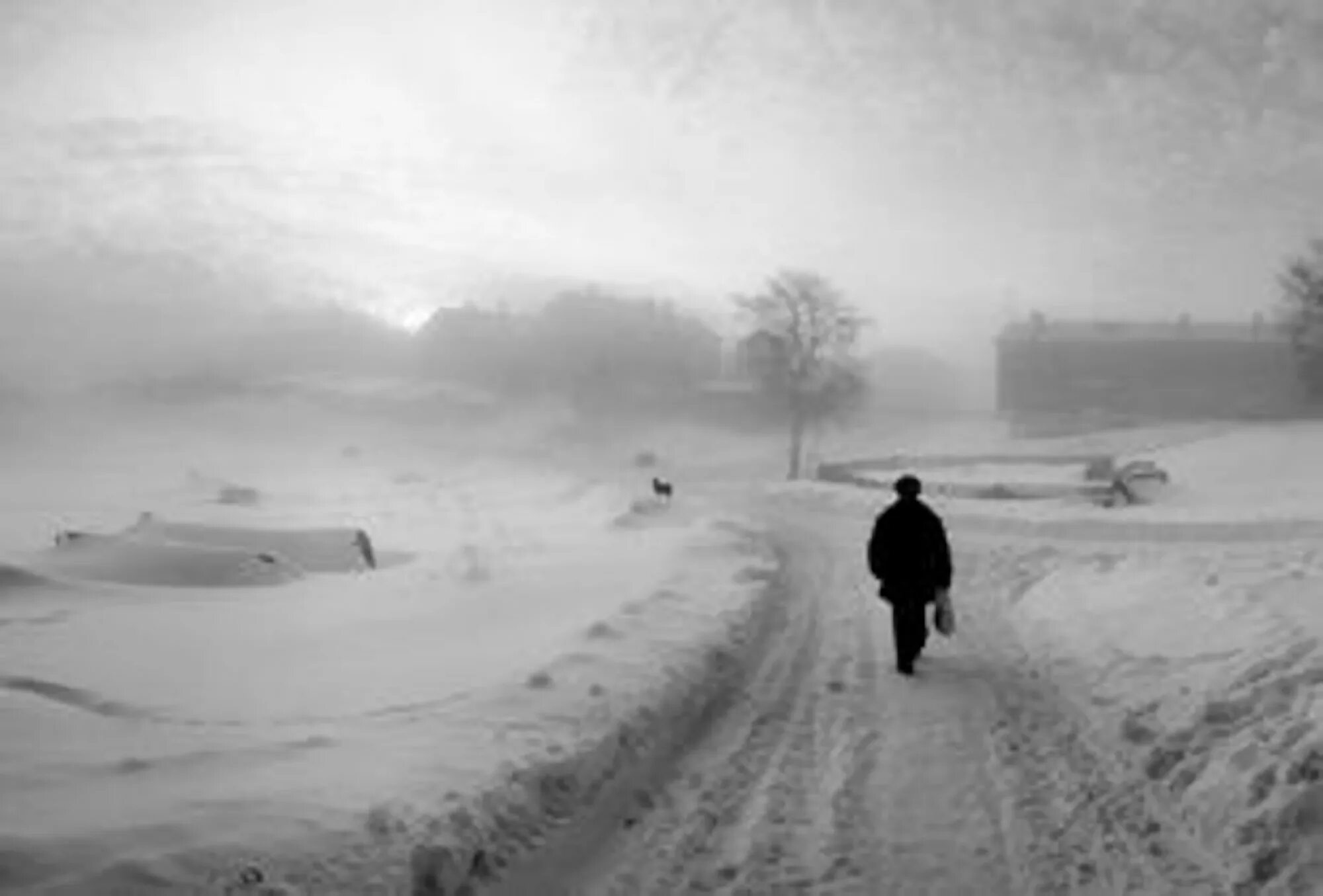 Замерзший путник. Человек в заснеженном поле. человек в снежном поле. метель одинокий путник. одинокий идёт по снегу человек.