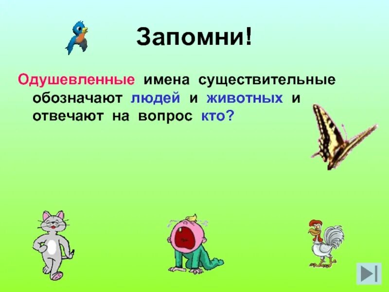 Одуншевлённые и не одуншевлённые придметы. Живые и неживые предметы для дошкольников задания. Живые предметы. Живые одушевленные предметы. Люди и предметы.